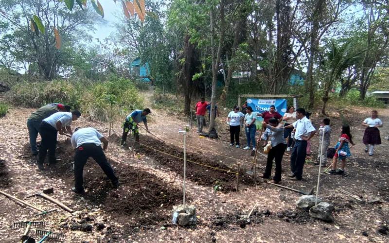 Implementan huertos urbanos y periurbanos