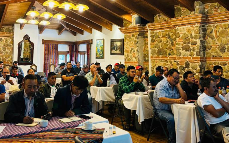 Productores de aguacate buscan ingresar a nuevos mercados