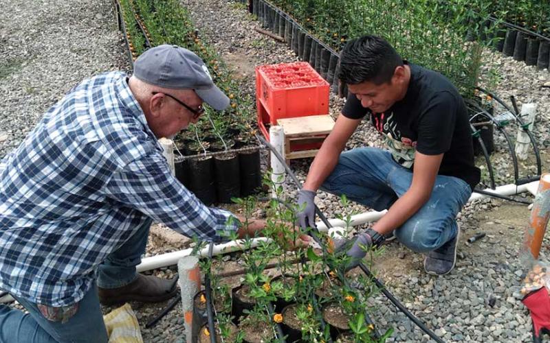 Productores de cítricos de Baja Verapaz contarán con sistema de riego