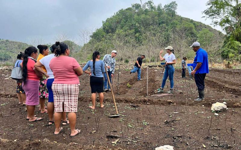 Promueven parcelas demostrativas en Poptún