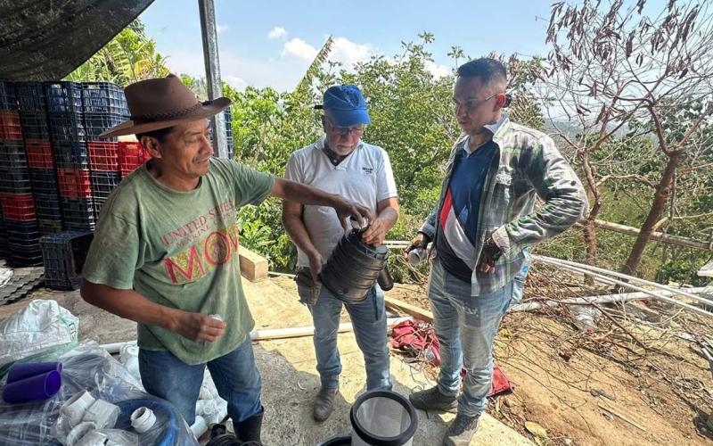 Riego por goteo beneficiará producción de ejote francés