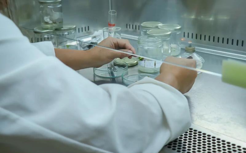 Senacyt abre oportunidad para financiar investigación y proyectos científicos-tecnológicos en Guatemala