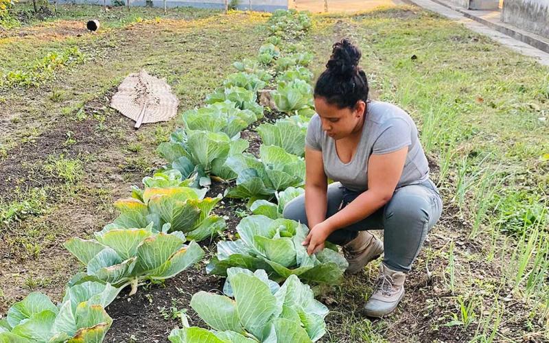 Supervisan procesos de huertos familiares en Petén
