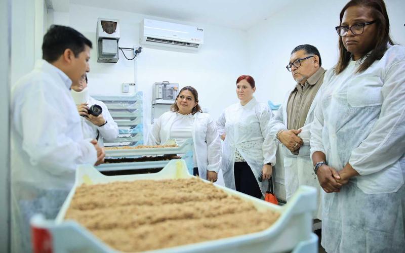 Trabajo conjunto para erradicar la mosca del Mediterráneo