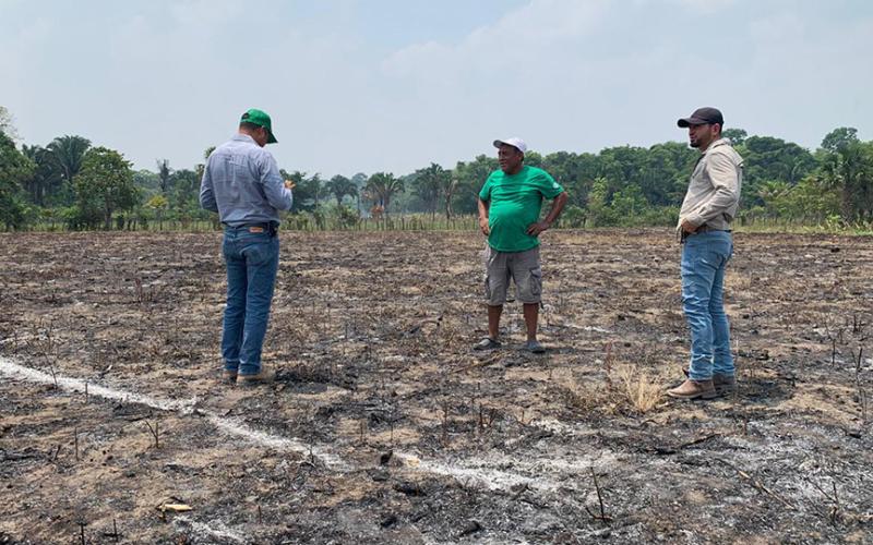En Petén impulsan parcelas demostrativas de chile jalapeño y sandía
