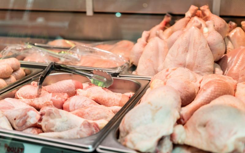 Pollo blanco al menudeo