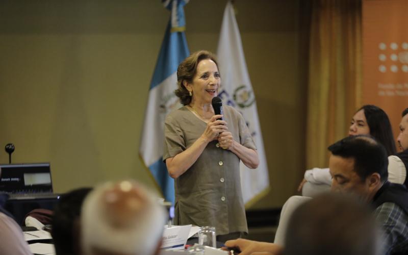 Fortalecimiento de capacidades del personal de la SESAN: un paso decisivo para combatir la malnutrición en Guatemala