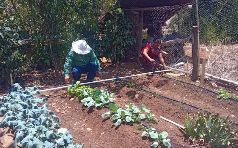 Beneficiadas 18 mil familias con raciones de alimentos por acciones
