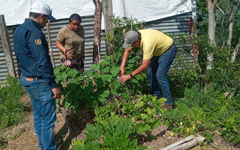 Brindan asistencia técnica a huertos urbanos en San José del Golfo
