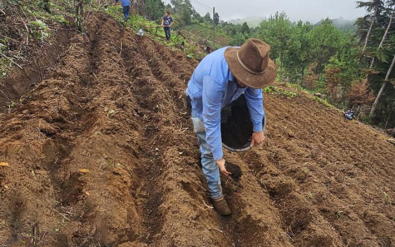 Capacitan acerca del manejo agronómico del cultivo de papa
