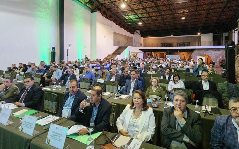 Congreso Nacional de Aguacate destaca competitividad y sostenibilidad del cultivo