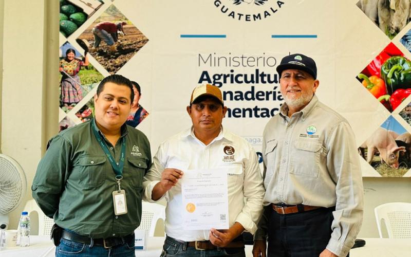 Cooperativa de cafetaleros obtiene licencia de productor exportador