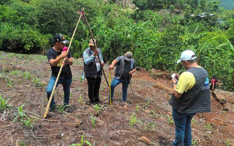Crean barreras vivas para mejorar suelos