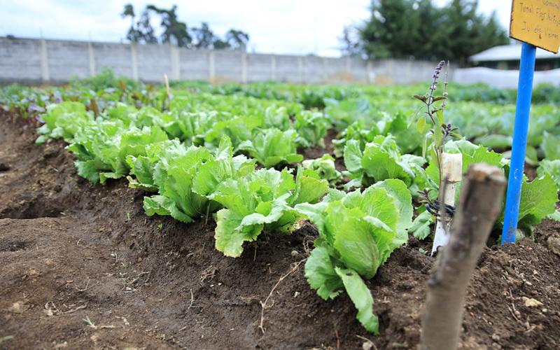 Disminuyen lluvias en algunos departamentos del país