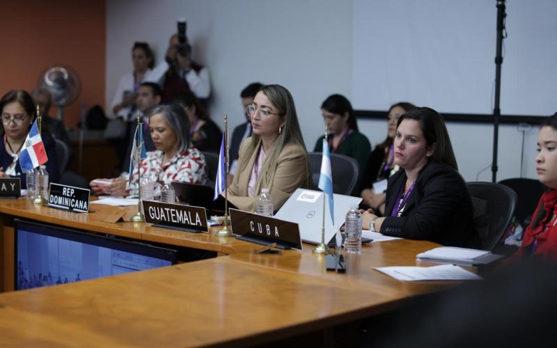 Nancy Mireya Melgar Alvarado, de la Dirección de Gestión, Negociación y Contratación de Cooperación para el Desarrollo de SEGEPLAN fue la representante de Guatemala.