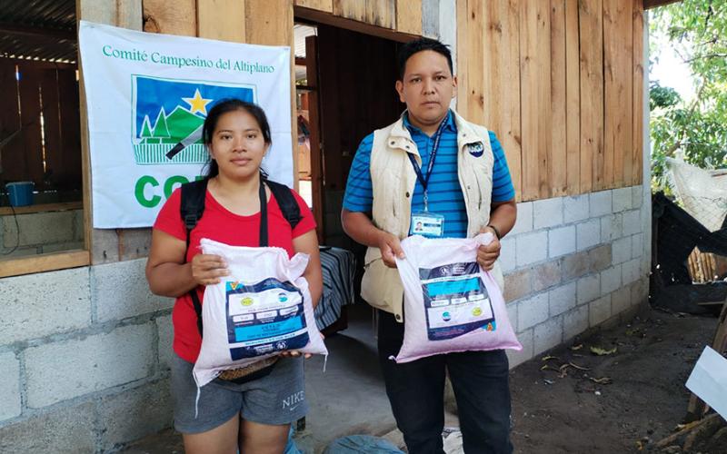 Entregan semillas de maíz en Suchitepéquez