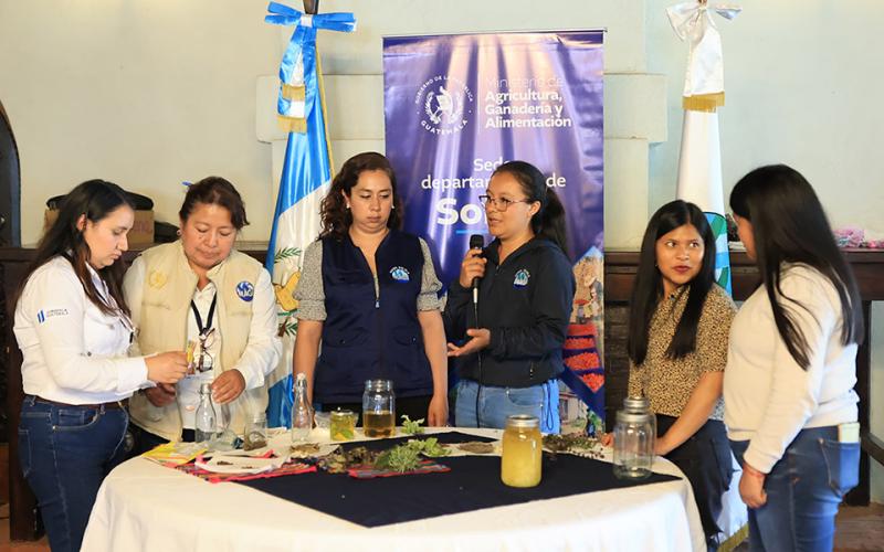 Extensionistas de Sololá y Quetzaltenango intercambian experiencias