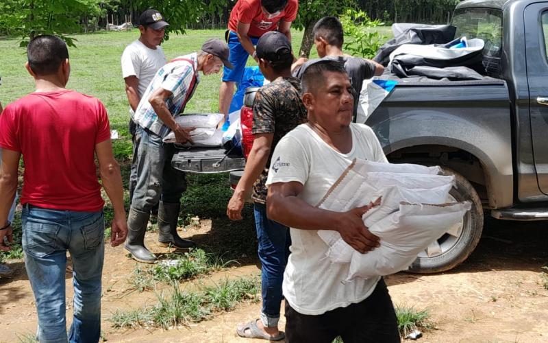 Familias agricultoras de Panzós reciben semillas de maíz