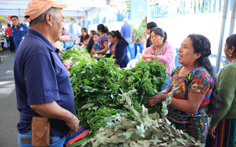 Feria del Agricultor lleva a los departamentos productos frescos a precios accesibles