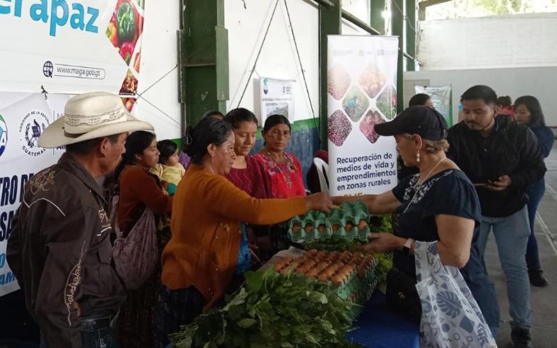 Ferias del Agricultor reúnen a 185 productores en Izabal, Alta Verapaz y Suchitepéquez