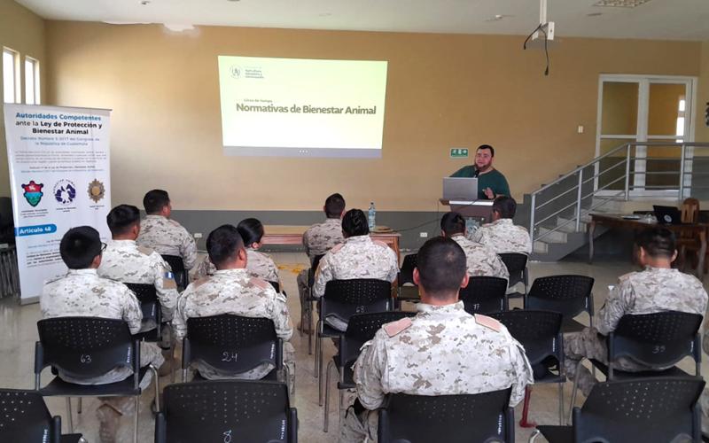 Fortalecen competencias para la protección del bienestar animal