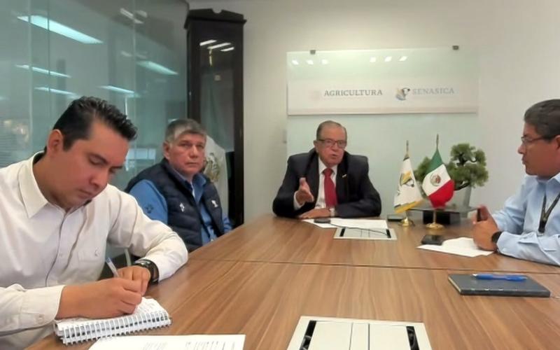 Guatemala y México fortalecen acciones contra el gusano barrenador