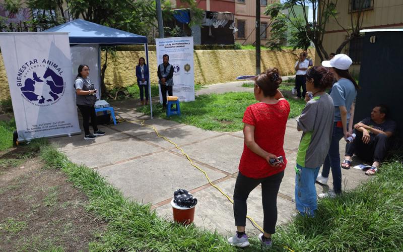 Jornada de vacunación a felinos en zona 21 capitalina