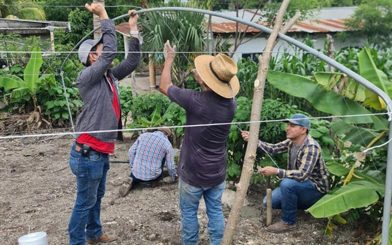 Producción de cultivos en condiciones controladas