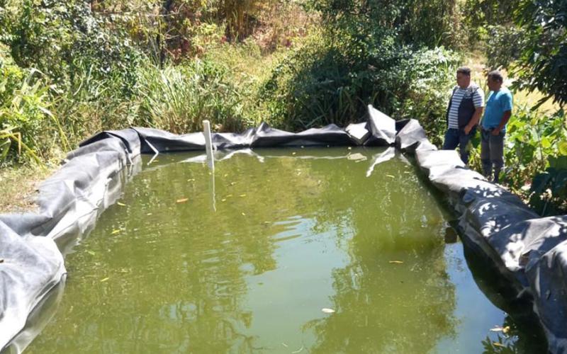 Productores de tilapia reciben apoyo para comercializar sus productos