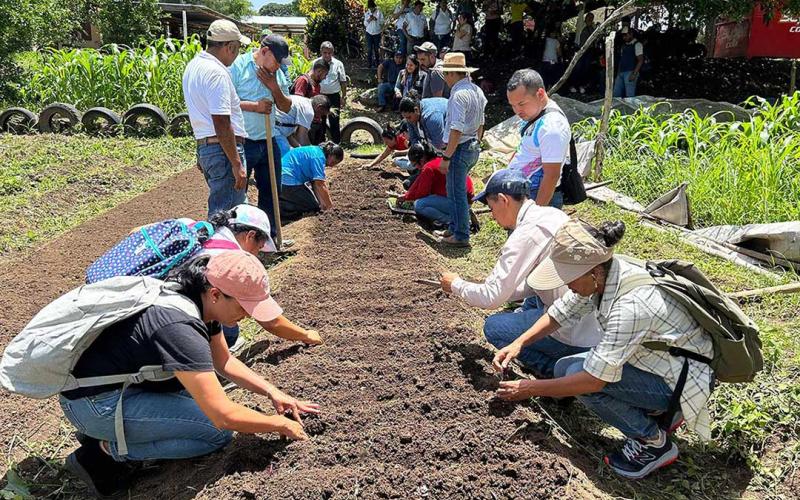 Promueven educación alimentaria con Huertos Escolares