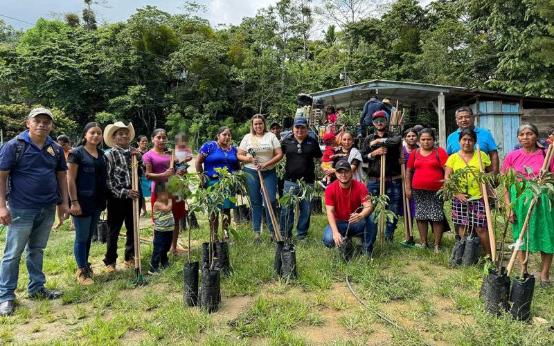 Reciben semillas de hortalizas, arboles de aguacate Hass y herramientas de cuidados agrícolas