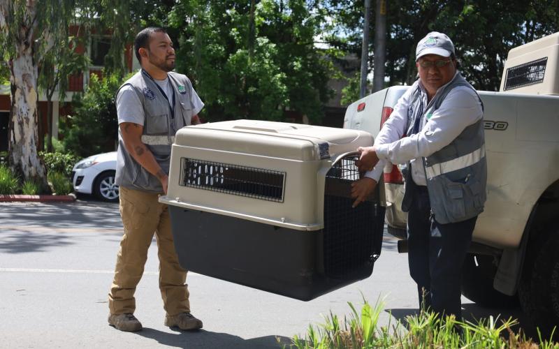 Se realizó allanamiento por maltrato animal