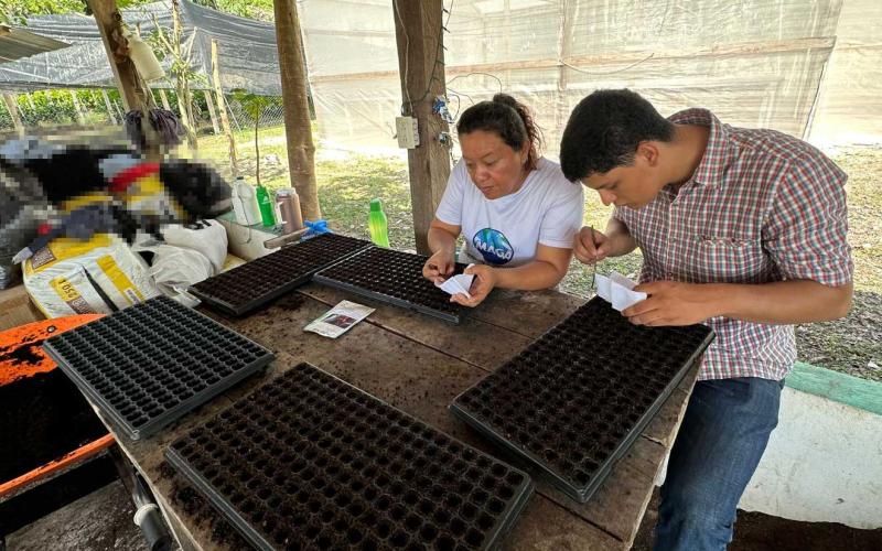 Trabajan para producir 40 mil pilones de hortalizas