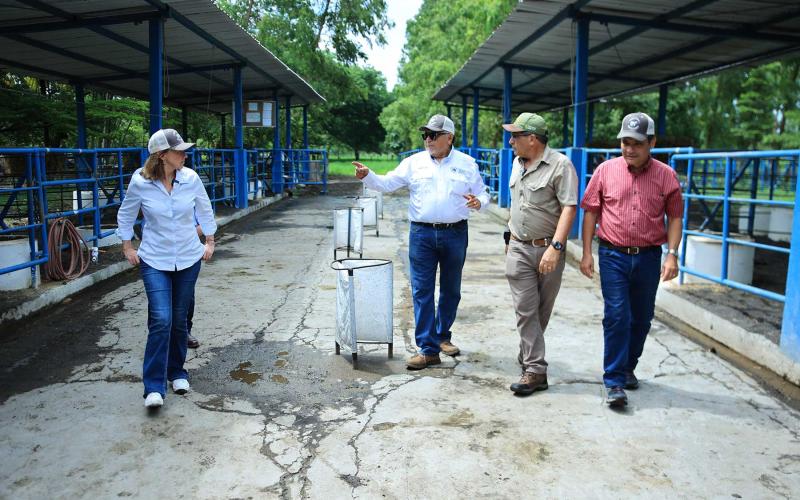 Visitan finca de ganadería sostenible
