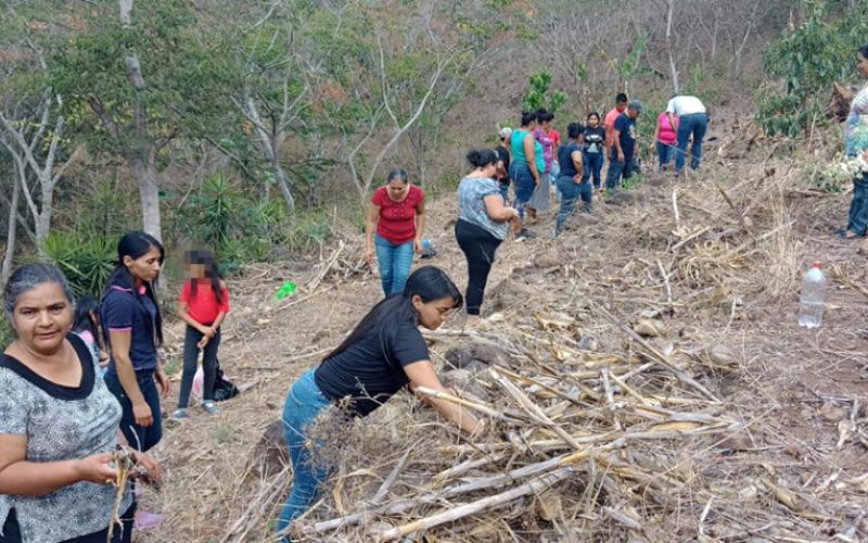 La conservación de los suelos mejora la producción agrícola