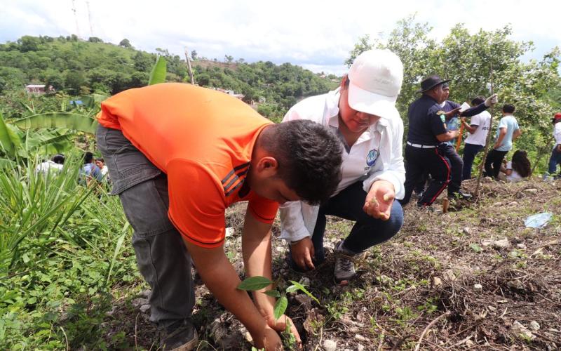 Se realiza jornada de reforestación en Petén