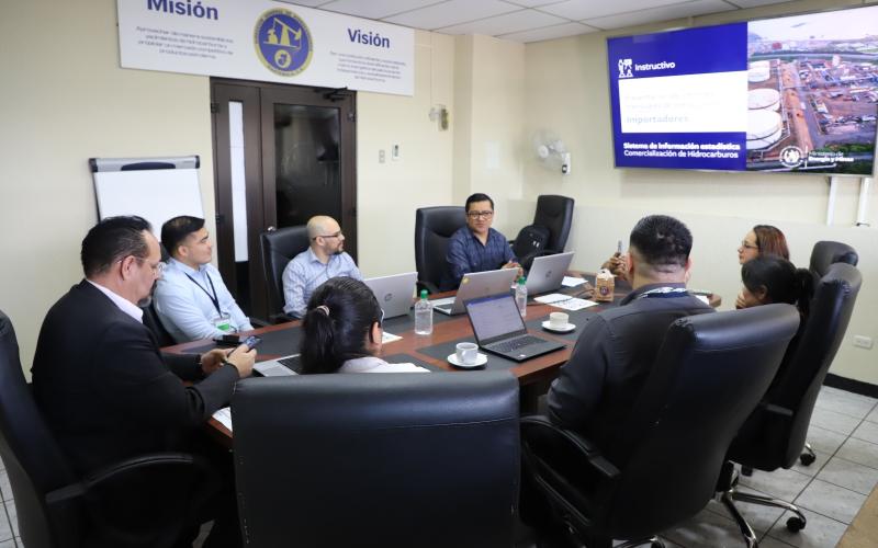 MEM moderniza proceso de captación de datos estadísticos 