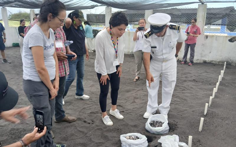 Convención Interamericana para la Protección y Conservación de las Tortugas Marinas visitó el tortugario del Comando Naval del Pacífico