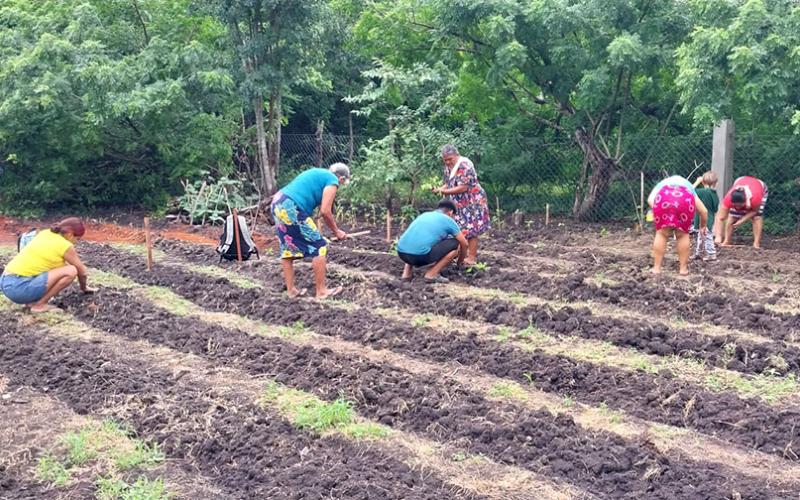 Agricultoras peteneras reciben asistencia técnica