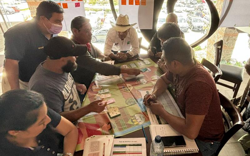 Avanza elaboración de manual del manejo de post cosecha de Aguacate