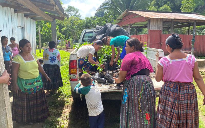 Avanza la educación agroforestal en Petén