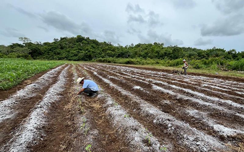 Brindan asistencia técnica en La Libertad, Petén
