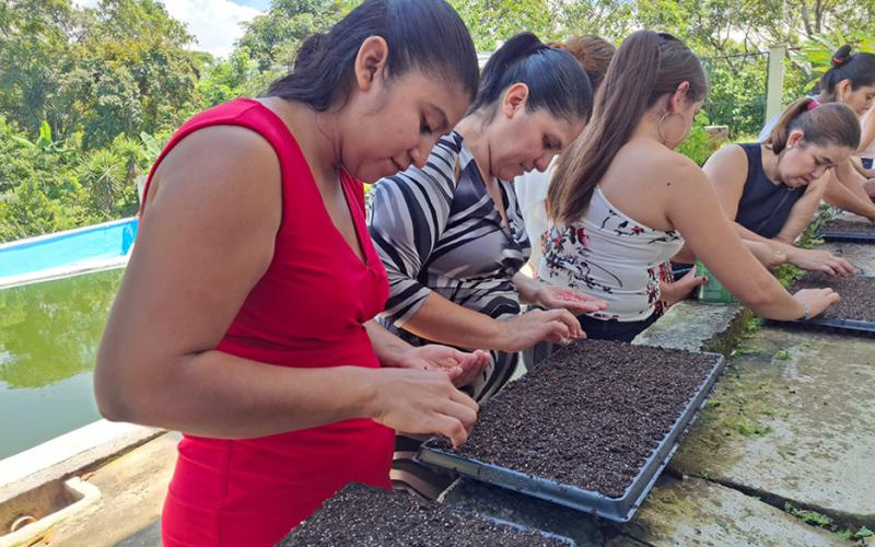Capacitan a mujeres en producción de invernadero