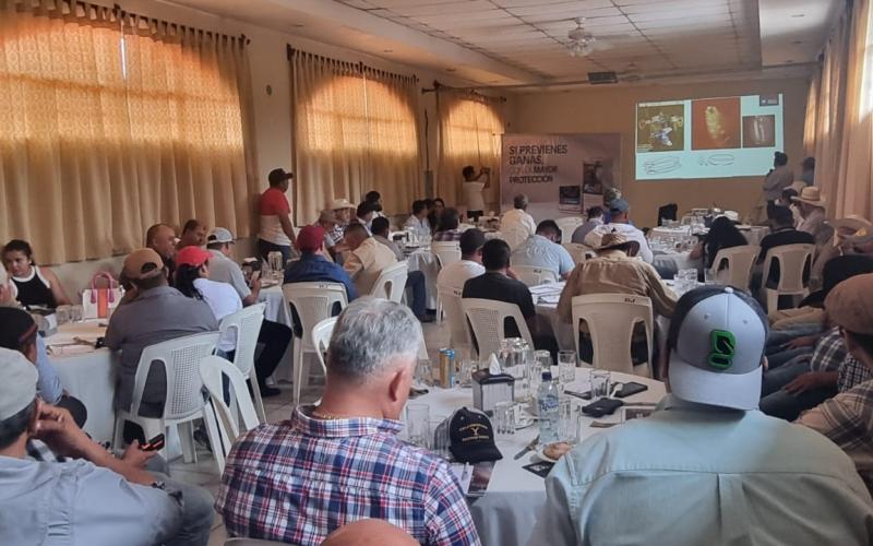  Coordinan acciones para control del gusano barrenador