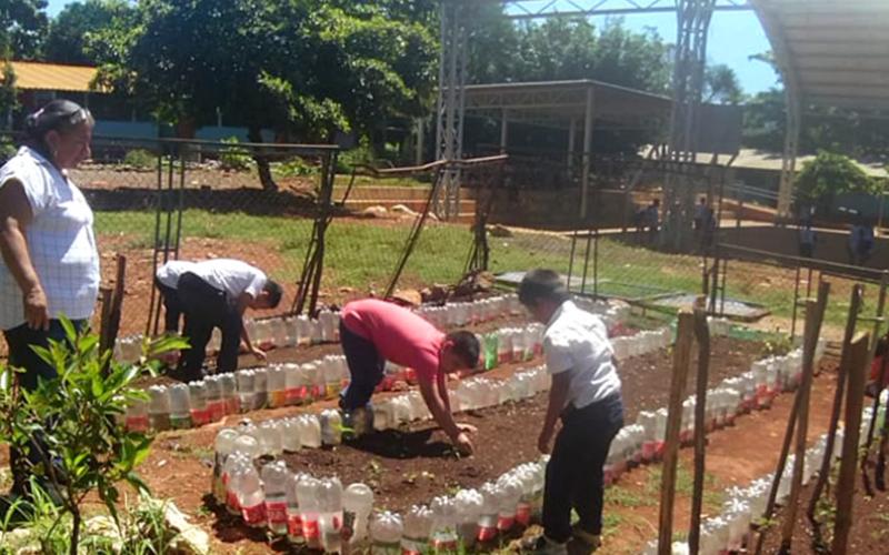 En Santa Rosa implementan huertos escolares