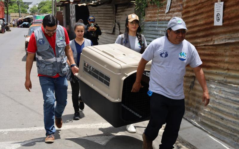 Entrega voluntaria de animales a la UBA