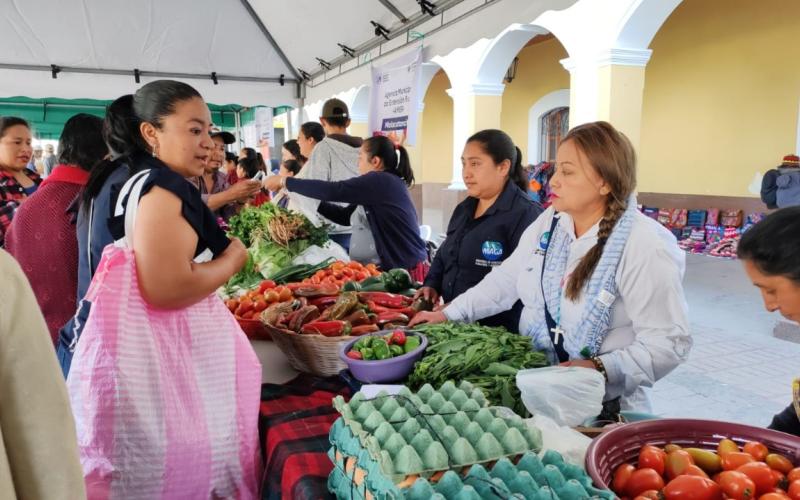 Feria del Agricultor la ventana de la Agricultura Familiar