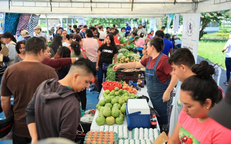 Feria del Agricultor se realiza con éxito en la zona 5 capitalina