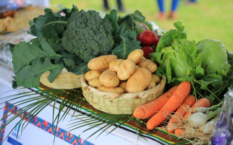Ferias del Agricultor de julio reúnen a 519 productores