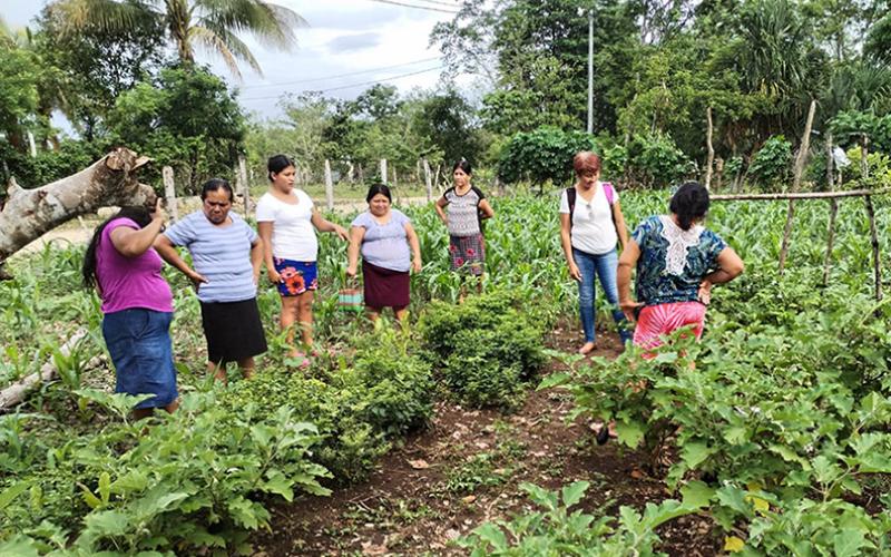 Fortalecen agricultura local en Santa Ana, Petén